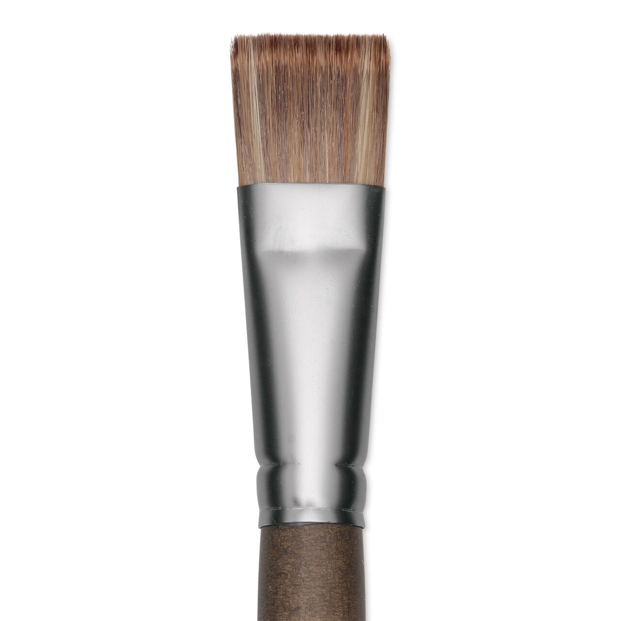 Princeton Pro Series 6000 Brush - Bright, Long Handle, Size 10